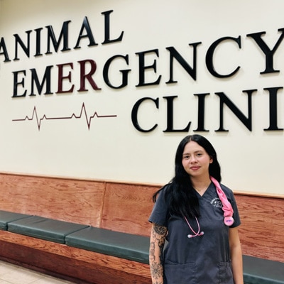 A woman in gray scrubs with a pink stethoscope stands in front of a wall sign that reads “Animal Emergency Clinic” with a heart rate line graphic. She is indoors near a long bench.