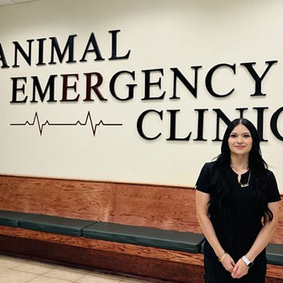 A woman with long dark hair stands in front of a wall sign that reads "Animal Emergency Clinic" with a heartbeat line graphic, next to a wooden bench with green cushions.