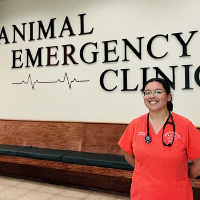 A smiling person in orange scrubs with a stethoscope stands in front of a wall sign that reads "Animal Emergency Clinic" with a heart rate line graphic. There are wooden benches along the wall.