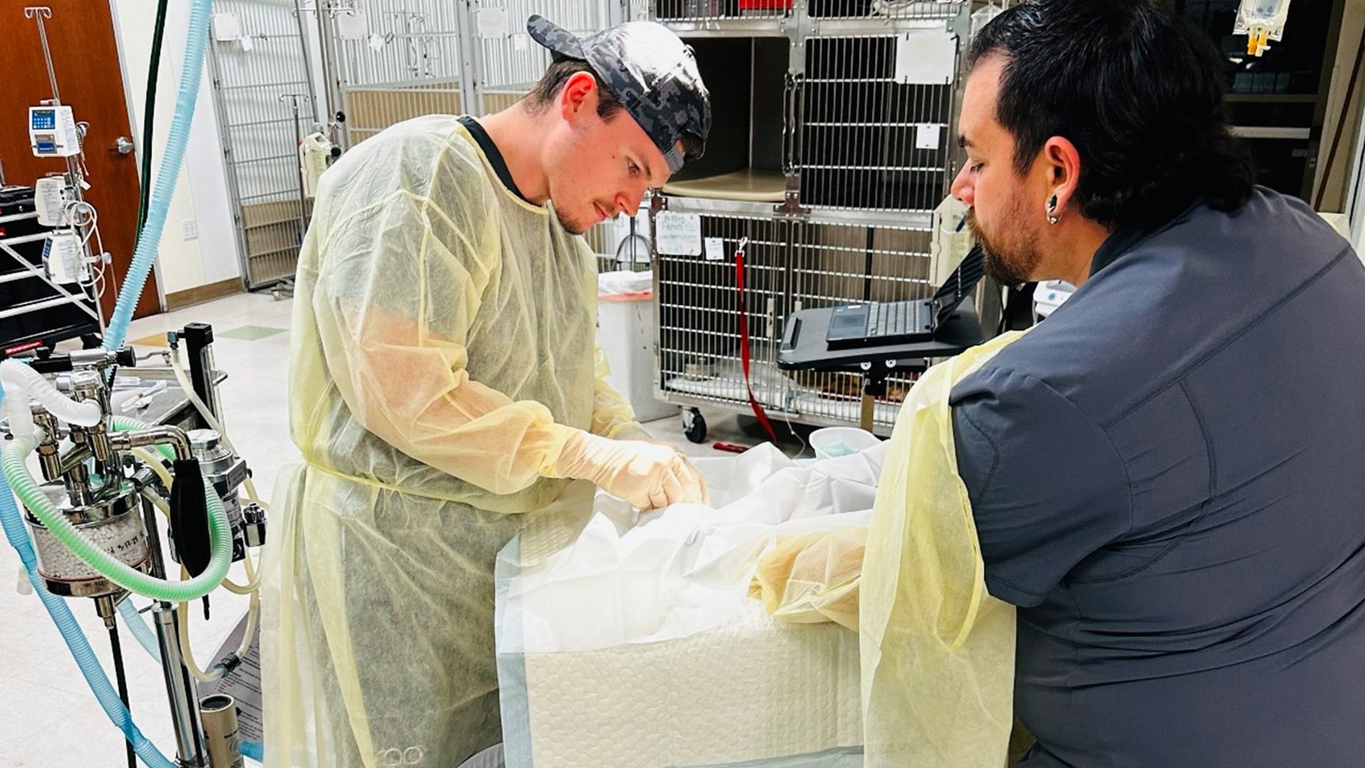 Two veterinary professionals in protective gowns and gloves attend to an animal patient on a table in a clinical setting with medical equipment and cages visible in the background.