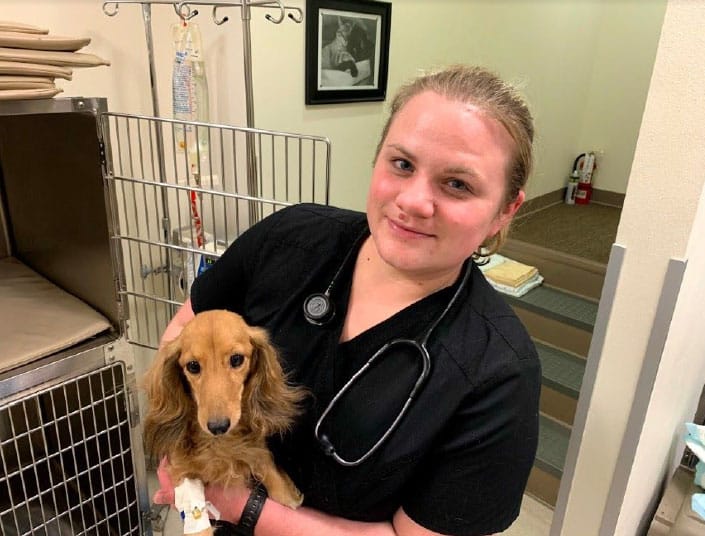 A veterinarian in black scrubs, with a stethoscope around their neck, holds a brown Dachshund inside a veterinary clinic. The dog has an IV bandage on its front paw, and metal cages and medical equipment are visible in the background.