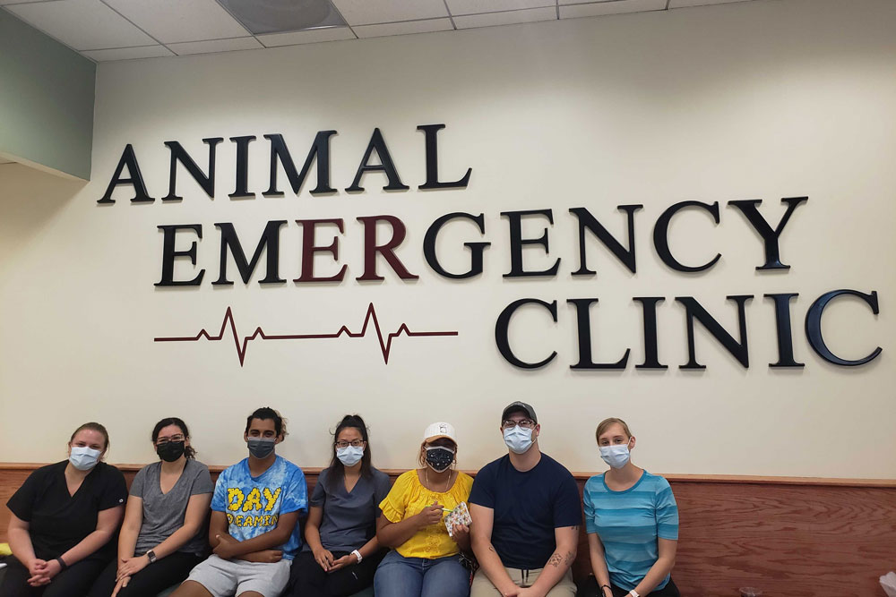A group of seven people wearing face masks sit on a bench in front of a wall sign that reads "Animal Emergency Clinic" with a heart rate line graphic. They appear to be part of the clinic staff, possibly veterinarians, posing for a team photo.