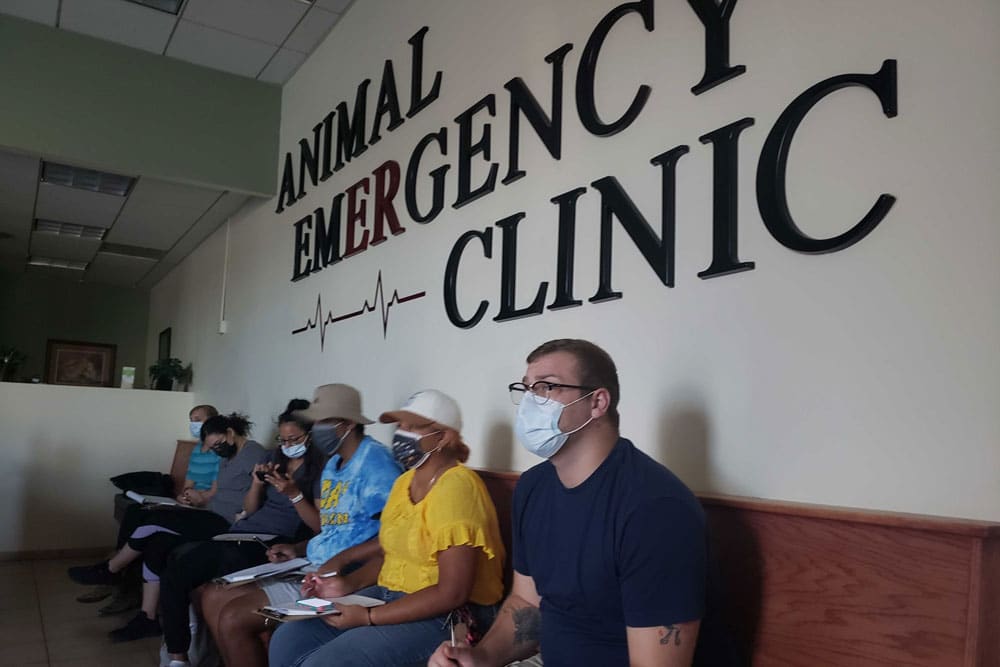 People sitting in a waiting area under a sign that reads "Animal Emergency Clinic." They are wearing face masks and appear to be filling out paperwork or using their phones. The room has beige walls and a wooden bench, creating a calm environment while they wait to see the vet.