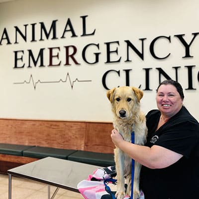 A woman in black scrubs smiles while holding a golden dog on an exam table in front of a sign that reads "Animal Emergency Clinic" in a veterinary clinic waiting area.