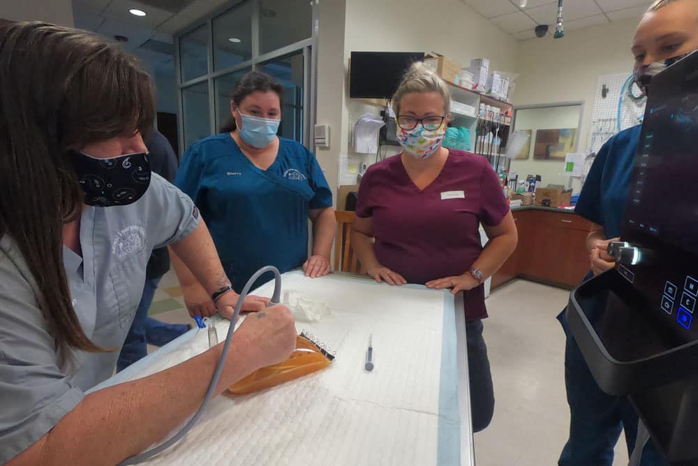 Four healthcare professionals, three wearing scrubs and one in a lab coat, are gathered around a pet on a treatment table. One veterinarian is using a device on the pet, while others observe closely. All are wearing masks, and various medical equipment can be seen in the background.