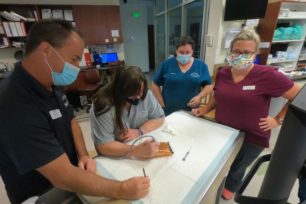 Four masked individuals are gathered around a table in a medical setting. One person, likely a veterinarian, is using a stethoscope while another appears to be performing a task on an animal. Shelves with medical supplies are visible in the background.