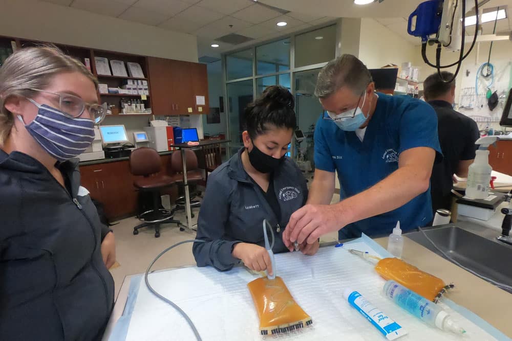 Three individuals, all wearing face masks, are in a veterinary setting. The person in the center, under the instruction of the veterinarian on the right, is using a medical device while the person on the left observes. Various medical supplies and equipment are visible.
