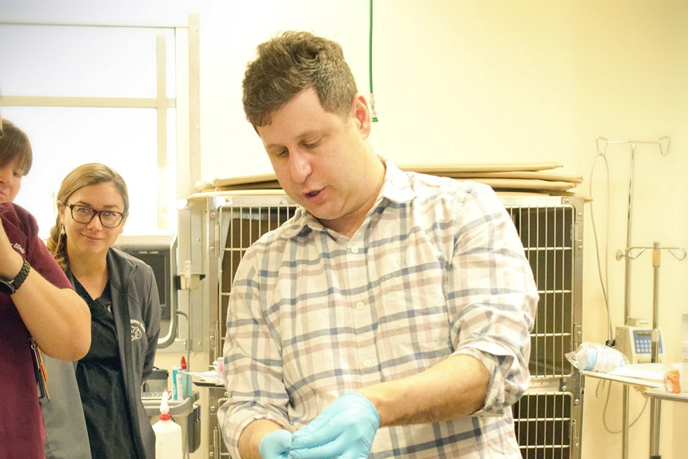 A veterinarian wearing a plaid shirt and blue gloves is focused on a task, possibly medical or scientific, in a clinical setting. Two other individuals stand nearby, observing. The background includes metal cages and medical equipment.