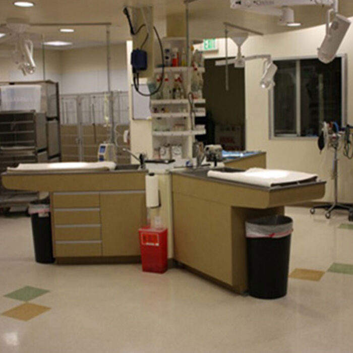 A modern veterinary surgery room with two examination tables, equipped with various medical instruments and storage cabinets. The room is clean and well-lit, with a window and various vet equipment in the background.