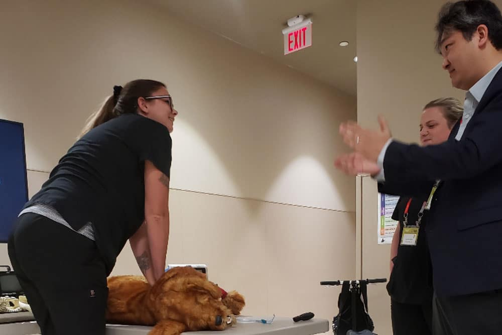 A veterinarian performs CPR on a medical mannequin on a table while two other individuals observe and discuss. The setting appears to be an indoor training or educational environment with various equipment visible in the background.