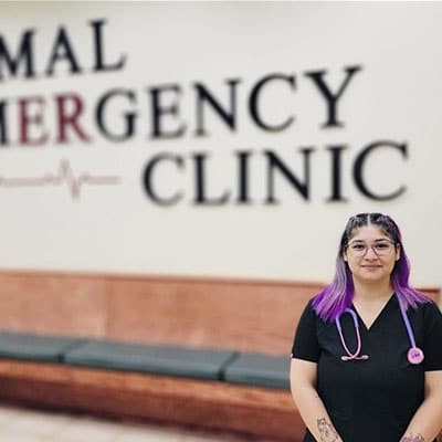 A person with long purple hair, wearing black scrubs and a pink stethoscope, stands in front of a wall that reads "ANIMAL EMERGENCY CLINIC." Benches are visible in the background.